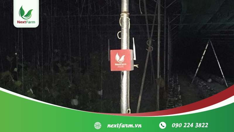 Triển khai Giải pháp Nông Nghiệp Thông Minh 4.0 Next Farm cho Lotus Farm
