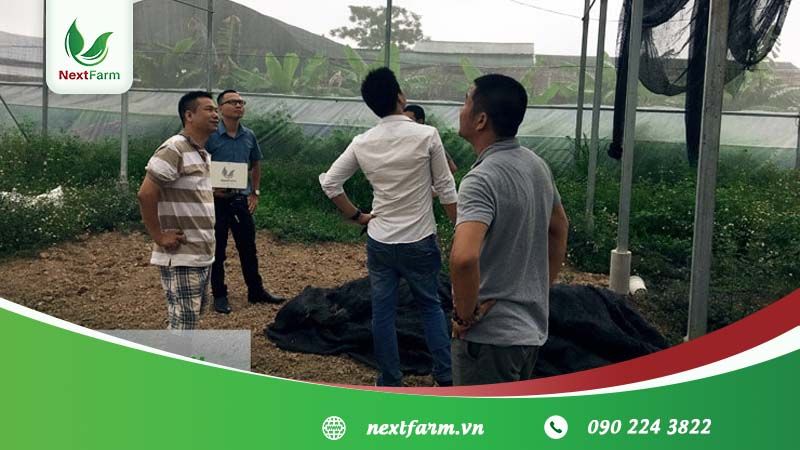 Triển khai Giải pháp nông nghiệp thông minh Next Farm cho Farm trồng hoa thạch thất