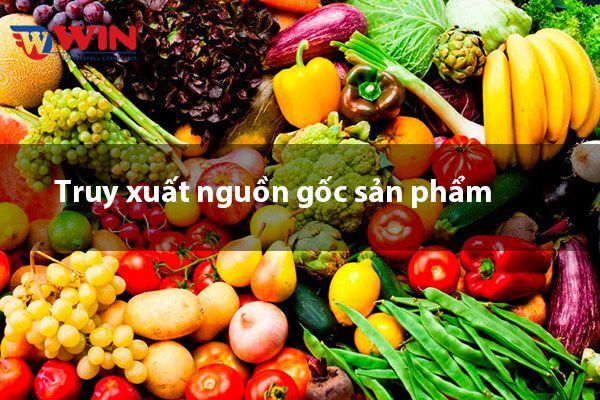 Truy xuất nguồn gốc nông sản điện tử là phát minh đỉnh nhất