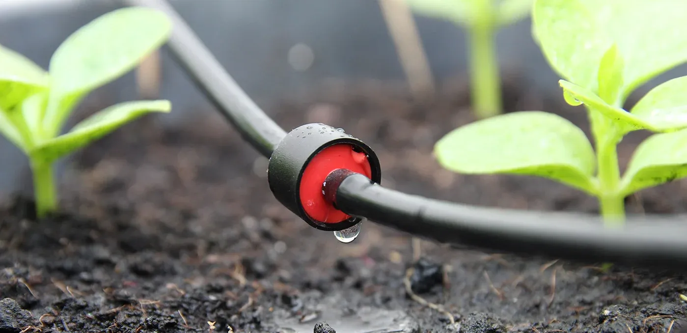 cảm biến cho nhà kính từ xa