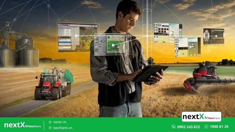 mô hình nông nghiệp hiện đại