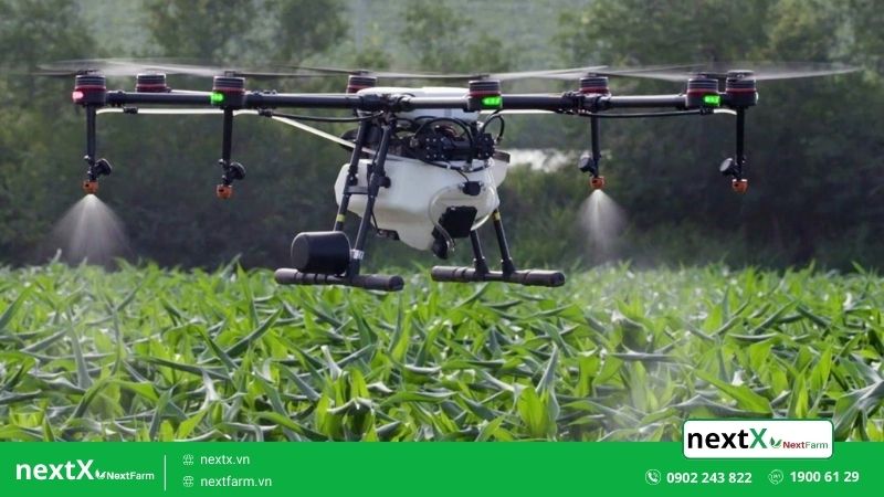 mô hình nông nghiệp hiện đại