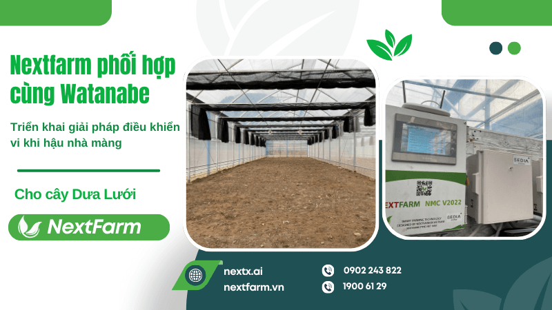 Nextfarm phối hợp cùng Watanabe Nhật Bản triển khai giải pháp điều khiển vi khi hậu nhà màng