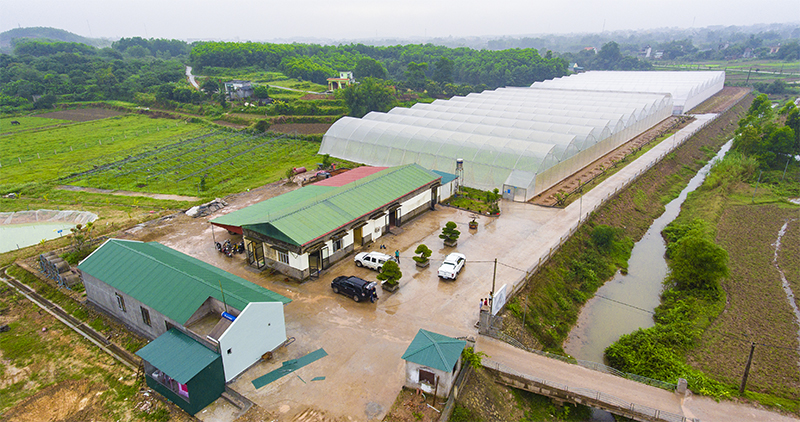 [Quảng Ninh] Nextfarm làm Tổng thầu tư vấn thiết kế thi công và triển khai Giải pháp Nông nghiệp thông minh Nextfarm cho Rau sạch Quảng Tân Đầm Hà Quảng Ninh