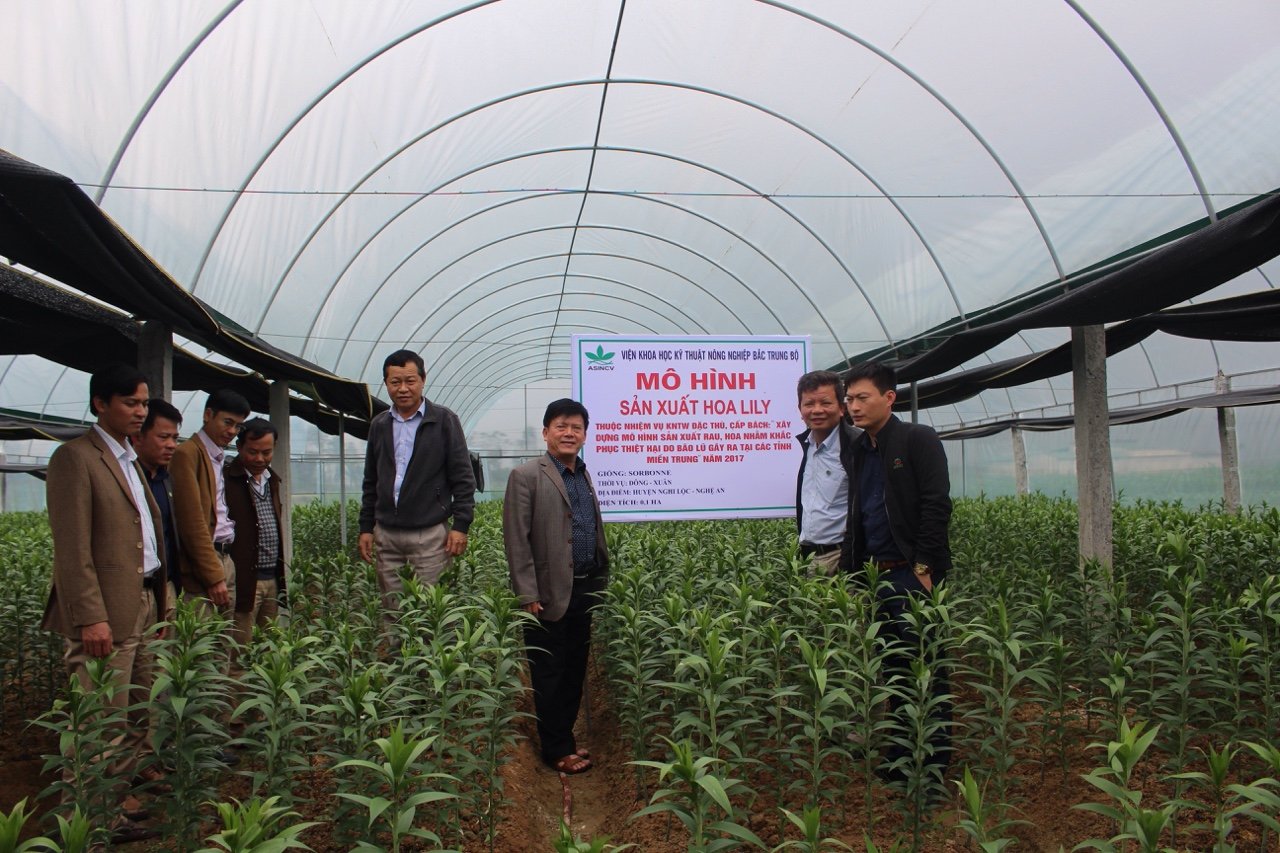 [Hà Tĩnh] – Nextfarm triển khai hệ thống quan trắc và điều khiển vi khí hậu nhà kính cho Viện KHKT Nông nghiệp Bắc Trung Bộ