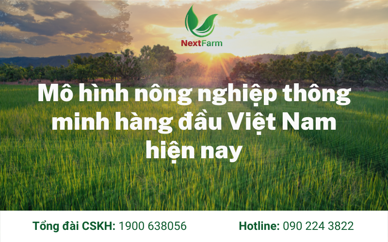 Mô hình nông nghiệp thông minh hàng đầu Việt Nam hiện nay